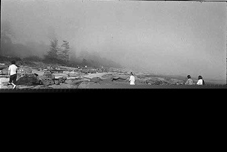 Trib in the fog 1988
