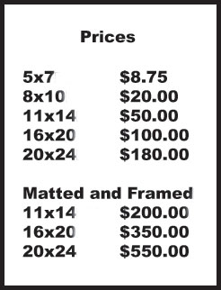 prices2.jpg