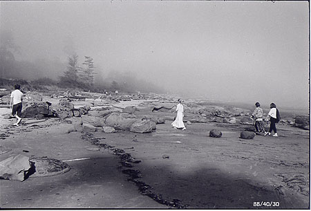 misty day Tribune Bay