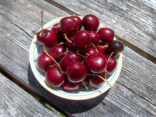 a bowl full