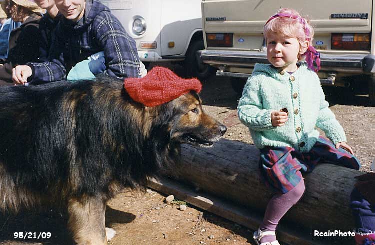 dog with a hat