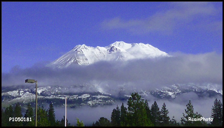 P1050181-shasta