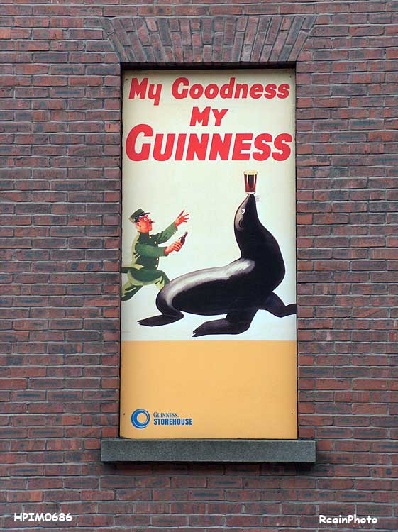 HPIM0686-guiness