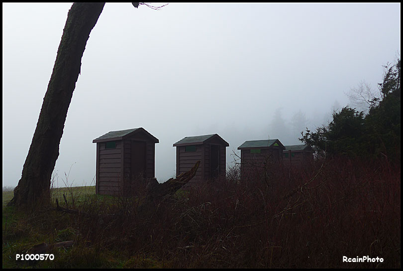 P1000570-outhouses