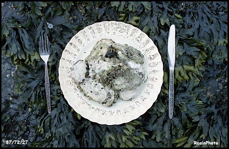 877227-oyster_dinner