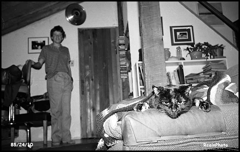 852410-fraser_kitty