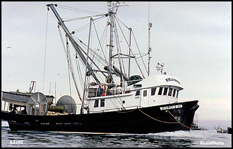 83s92-herring
