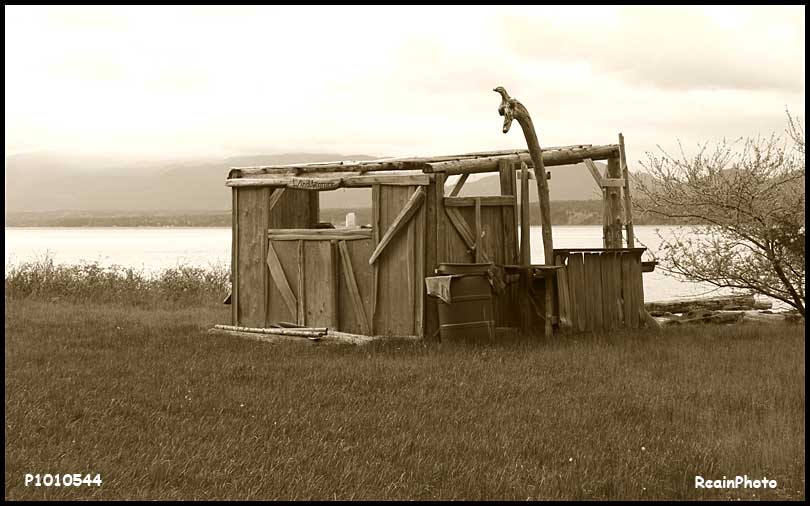 P1010544-shelter