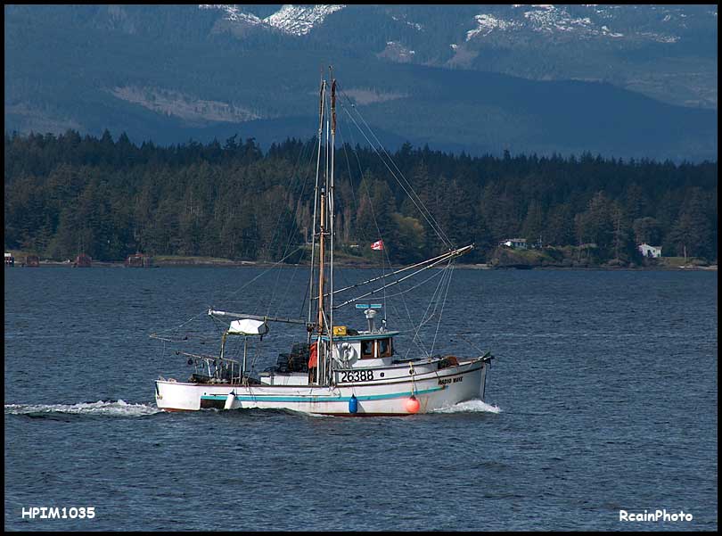 HPIM1035-fishboat