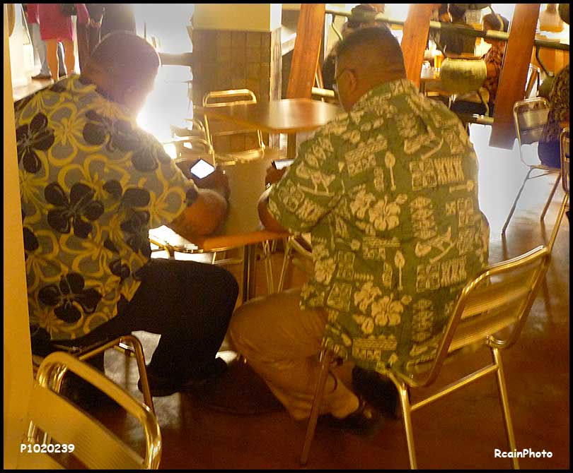 p1020139-hawaii-2011